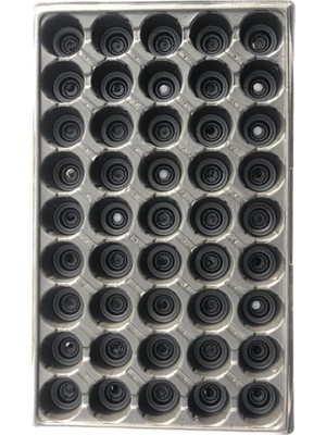 Leaf Shop Botanik 5 Adet 45 Gözlü Viyol Fide Yetiştirme Viyolü Fide Viyolleri Tohum Ekim Viyolü Kabı