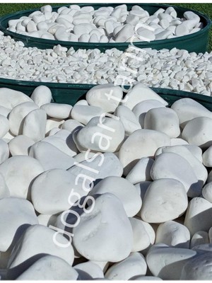 Leaf Shop Dolomit Taş 4 kg 6-10 cm Dere Taşı Çakıl Taşı Saksı Taşı Akvaryum Teraryum Taşı Bahçe Taşı