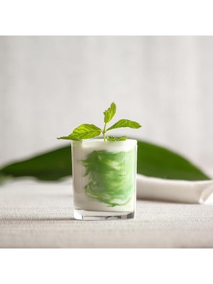 Leaf Shop Ada 6'lı Viski Bardağı