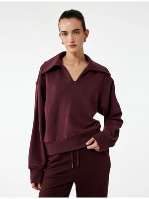 Regular Fit Üç Iplik Uzun Kollu Polo Yaka Sweatshirt