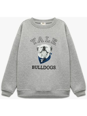 Lisanslı Uzun Kollu Bisiklet Yaka Baskılı Şardonlu Sweatshirt
