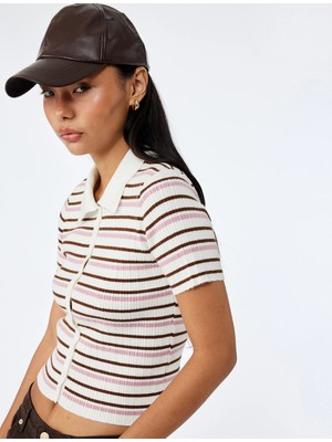 Çizgili Düğmeli Polo Yaka Kısa Kollu Triko Bluz