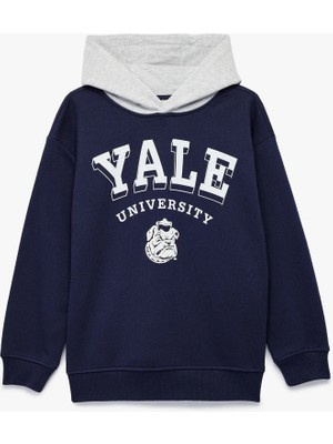 Lisanslı Kapşonlu Uzun Kollu Şardonlu Baskılı Sweatshirt