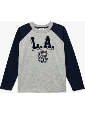 Uzun Reglan Kol Bisiklet Yaka Pamuk Viskon Karışımlı Baskılı Tişört