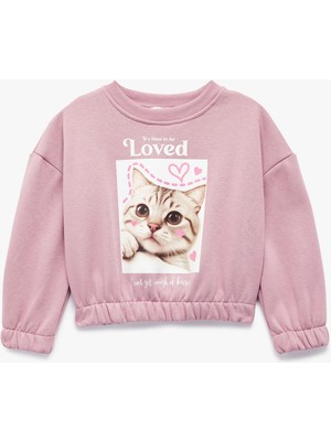 Beli Lastikli Şardonlu Uzun Kollu Bisiklet Yaka Kedili Crop Sweatshirt