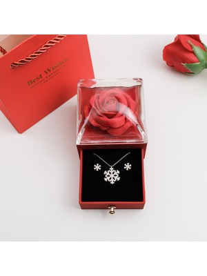 Trend Robo Sevgiliye Özel Şık Takı Kutusunda 925 Ayar Gümüş Kar Tanesi Kolye ve Küpe