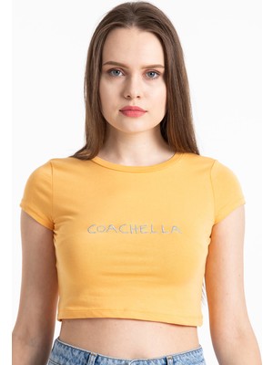 Mossta Coachella Basic Crop Hardal