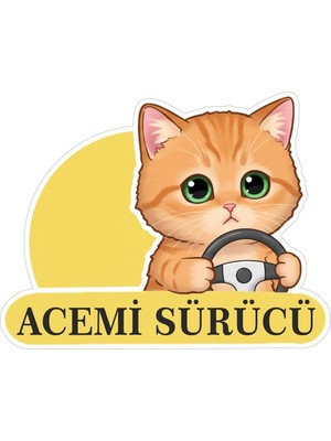 Leaf Shop Tasarla Acemi Sürücü Sevimli Kedi Araba Etiketi & Sticker Çok Renkli