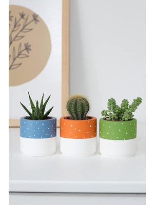 Leaf Shop Beton Saksı Üçlü Set Küçük Boy Sukulent Saksısı (Turuncu)