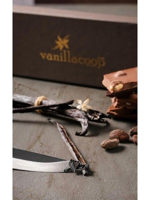 Misda Store Organik Çubuk Vanilya Çubuğu (4 Adet)