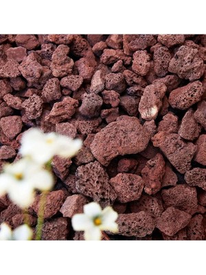 Misda Store Pomza Taşı 10 Lt 1,5-2,5 cm Kırmızı Pomza Tarım Pomzası Bahçe Saksı Teraryum Taşı Ponza