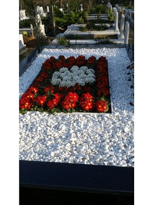 Misda Store Mezar Taşı 11 kg 2-4 cm Beyaz Dolomit Taş Dere Çakıl Taşı Bahçe Süs Taşı Mezar Süsleme Taşı