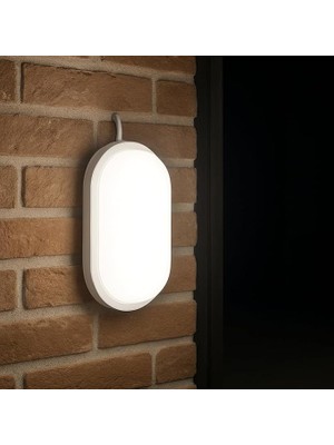 Misda Store 15W IP65 Oval Beyaz LED Tavan ve Duvar Lambası | 6500K Beyaz Işık | Su ve Toz Geçirmez Banyo Bahçe Balkon Aydınlatma Armatürü | Yüzeye Monte, 1500 Lümen (220V)