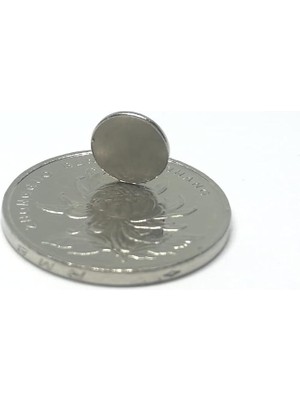 Misda Store Adet 9x1,5 mm Yuvarlak Güçlü Neodyum Mıknatıs (Çap 9mm Kalınlık 1,5mm)
