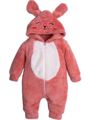 Chicsy Baby Kışlık Tatlı Peluş Pamuklu Nakışlı Kapüşonlu Welsoft Tulum