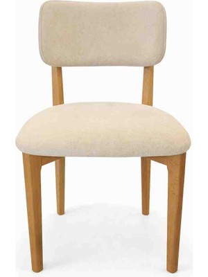 Decovian Home Polo İskandinav Tarzı Sandalye