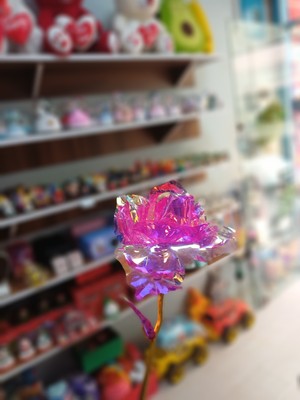 BLC Boutique Sonsuzluk Gülü Romantik Hediye