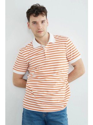 FullaModa Çizgili Polo Yaka Yarım Düğmeli Tişört