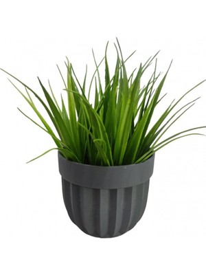 Marsilyan Çizgili Saksı Sazlı Çiçek ROYALEKS-5782