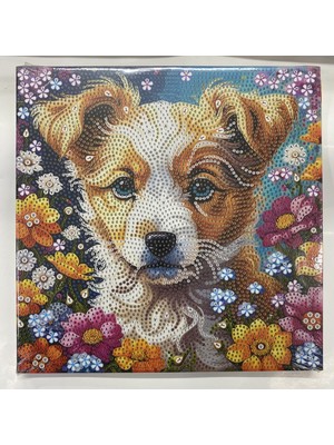Elegantshop Tuval 5d Yapışan Boncuk Mozaik Tablo 25*25 cm LM12