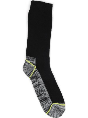 Bueno Shoes Sarı Isc Çorap 13MSOZZYIS003 13MSOZZYIS003