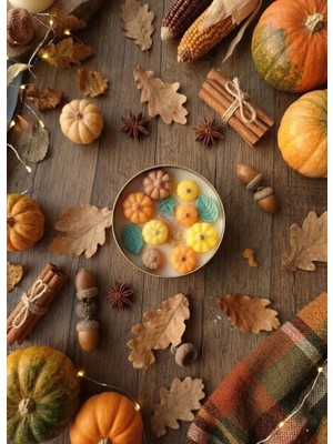 Şile Natural Bal Kabağı Süslemeli Dekoratif Mum | %100 Soya Wax | Sedir Kokulu | Doğal El Yapımı Mum | Sonbahar Dekoru | Hediyelik