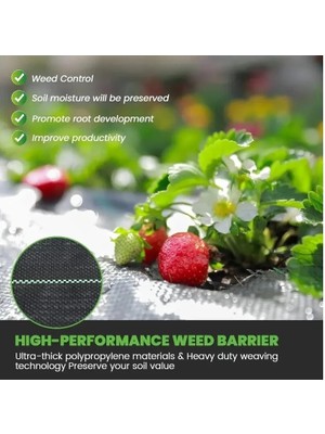 Popüler Sepet Yabani Ot Bariyer Matı