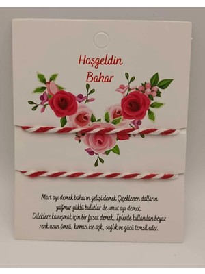 Tılsım Accesories Marteniçka Sade 10 Lu