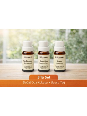 Uçucu Buhur Yağı Hava Nemlendiriciler Için Buhurdanlık Esansı Oda Kokusu 10 ml 3 Lü Set