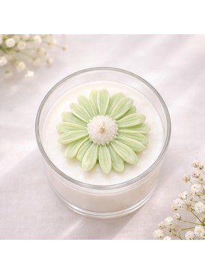 Calinda Candles Papatya Tasarımlı Kokulu Mum %100 Soya Wax Dekoratif Mum