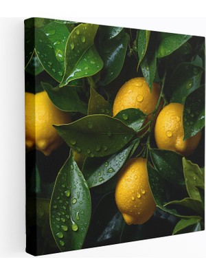 Popcas Limon Ağaçları Kanvas Tablo Detaylı Duvar Sanatı