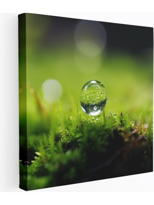 Popcas Yosun Görseli Minimalist Kanvas Tablo Duvar Dekorasyonu