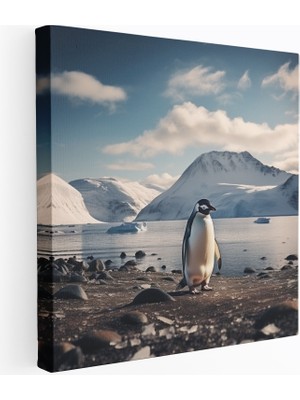 Popcas Penguen Kanvas Tablo Karla Kaplı Plajda Huzurlu Penguen Görüntüsü