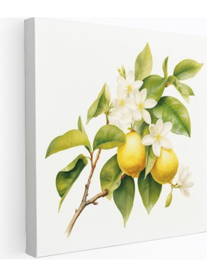 Popcas Doğa Kanvas Limon Ağacı Çiçeği Duvar Sanatı