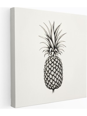 Popcas Siyah Beyaz Ananas Temalı Kanvas Tablo