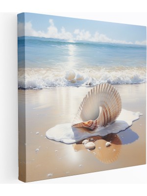 Popcas Deniz Kabuğu Manzaralı Kanvas Tablo - Still Life Deniz Kabuğu Duvar Dekorasyonu Kanvas Duvar Sanatı