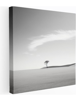 Popcas Dünyanın En Güzel Manzaraları - Yalnız Ağaç Kanvas Tablo - Çöl Manzarası Minimalist Fotoğraf - Dünyanın En Güzel Manzaraları
