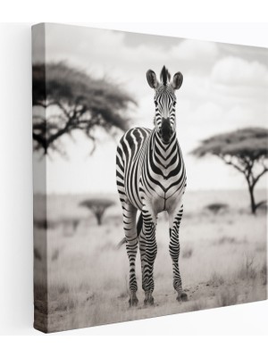 Popcas Zebra Kanvas Tablo - Siyah Beyaz Duvar Sanatı - Zebra Duvar Dekorasyonu Kanvas Kanvas Duvar Sanatı