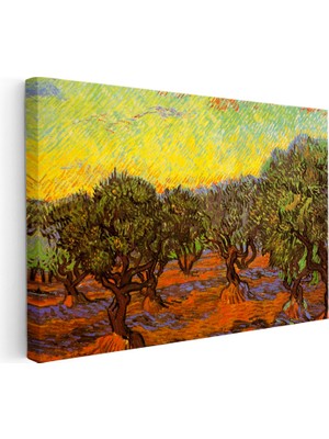 Kanvas Tablo Vincent Van Gogh Zeytin Ağaçları Tarlası Ressam Tablosu Ev Ofis Dekoru