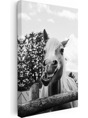 Kanvas Tablo Sempatik Yüz Ifadesi At Tablosu Ev Ofis Duvar Dekoru