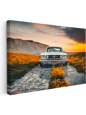 Kanvas Tablo 1966 Ford Mustang Klasik Kasa Doğa Manzarası Ford Tablosu Ev Ofis Duvar Dekoru