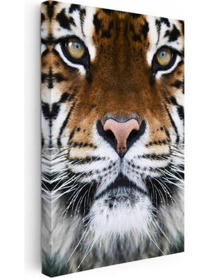 Kanvas Tablo Simetrik Yüz Detay Kaplan Tablosu Ev Ofis Duvar Dekoru