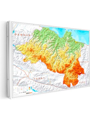 Kanvas Tablo Ordu Doğal Oluşum Harita Tablosu Ev Ofis Duvar Dekoru