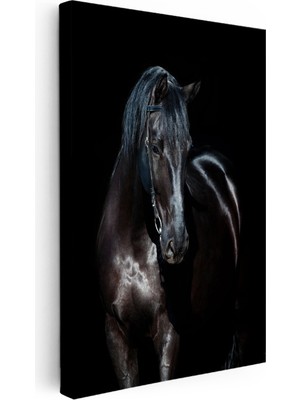 Kanvas Tablo Parlak Tüylü At Tablosu Ev Ofis Duvar Dekoru