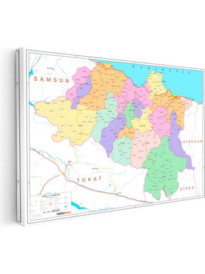 Kanvas Tablo Ordu Mülki Idare Harita Tablosu Ev Ofis Duvar Dekoru