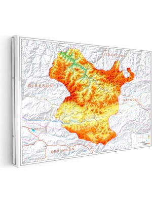 Kanvas Tablo Gümüşhane Coğrafi Yapı Harita Tablosu Ev Ofis Duvar Dekoru