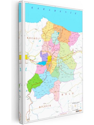 Kanvas Tablo Sakarya Ilçe Yerleşim Planı Harita Tablosu Ev Ofis Duvar Dekoru
