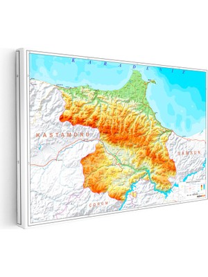 Kanvas Tablo Sinop Coğrafi Yapı Harita Tablosu Ev Ofis Duvar Dekoru