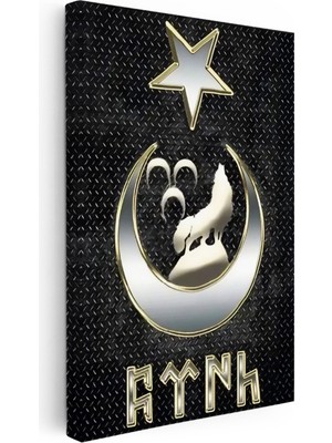 Kanvas Tablo Bozkurt Hilal ve Göktürkçe Türk Yazısı Osmanlı Tablosu Ev Ofis Duvar Dekoru