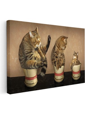 Kanvas Tablo Terazi Üzerinde Üç Kedi Kedi Tablosu Ev Ofis Duvar Dekoru